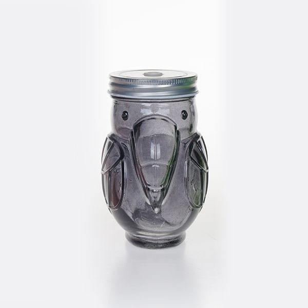 Glass Mason Jar ED0810-2